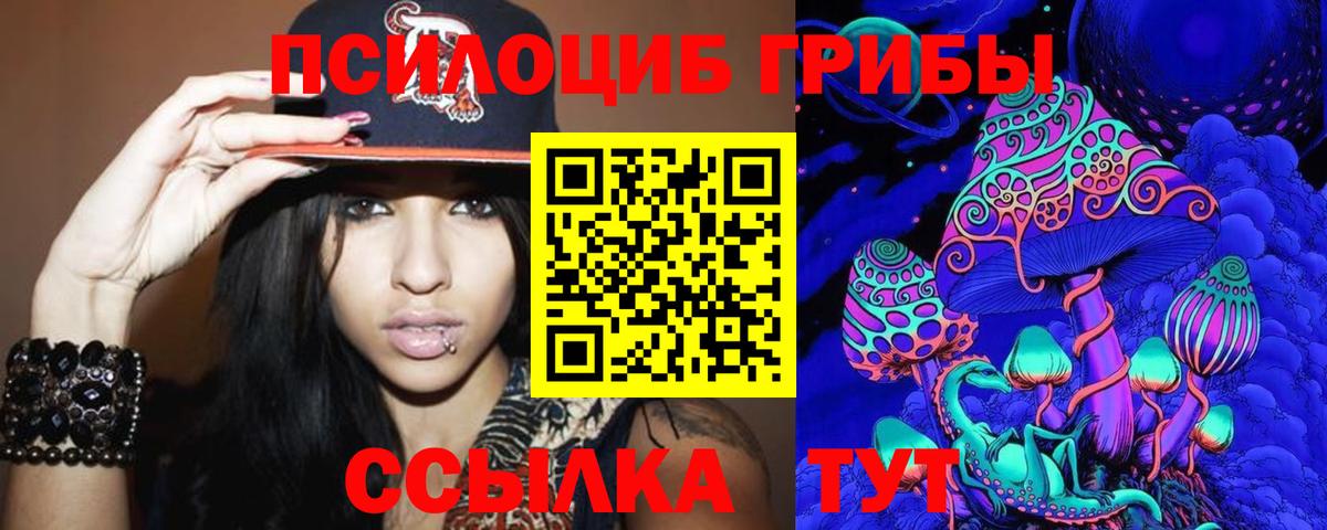 Ачхой-Мартан  Галлюциногенные грибы Cubensis  Вход с VPN  Галлюциногенные грибы Psilocybe 