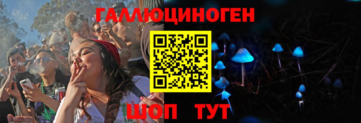 Галлюциногенные грибы Psilocybe Ачхой-Мартан
